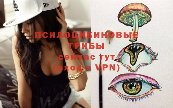 прущий лед Белокуриха