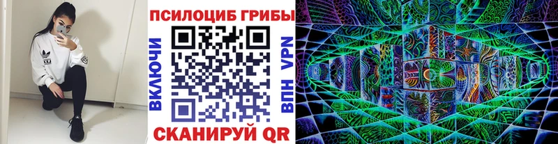 наркота  Всеволожск  Псилоцибиновые грибы Cubensis 